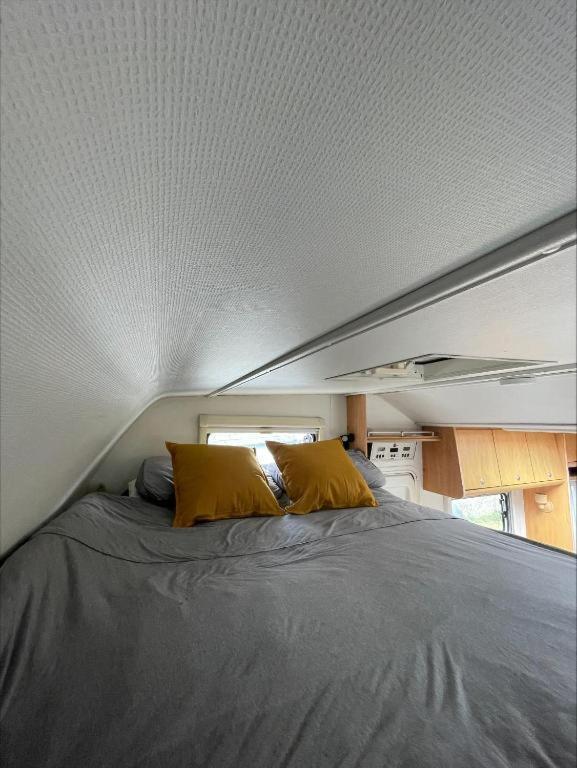 Hotel The Cosy Camper At Rockfield Park Galway Zewnętrze zdjęcie